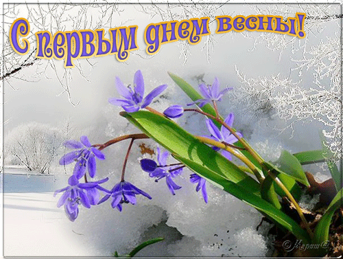 http://school93.tgl.ru/sp/pic/Image/2010-2011/e9699a54c145.gif