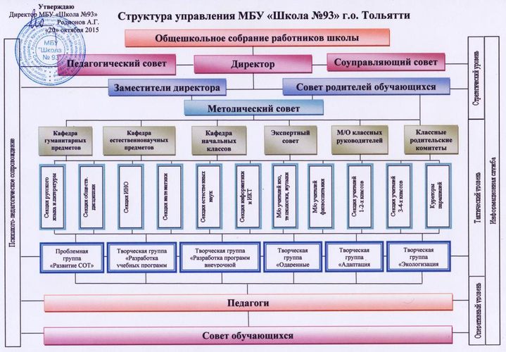структура управления МБУ 