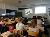 ученики сидят за партами и смотрят фильм о Сталинградской битве